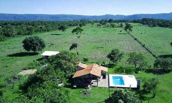 Imagem 4: Sítio c/ 25he escriturado, 100% formado e plaino, Cuiabá-MT