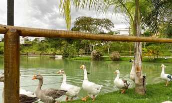 Imagem 6: Terreno para venda possui 500 metros quadrados no Vale dos Cristais - Macaé - RJ
