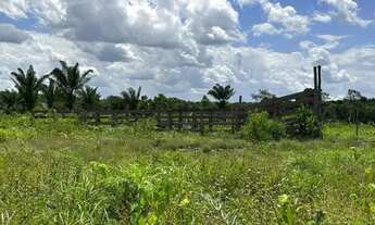 Imagem 3: Fazendinha com 45 hectares