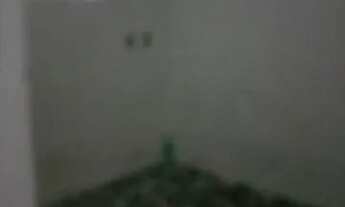 Imagem 5: Casas para alugar