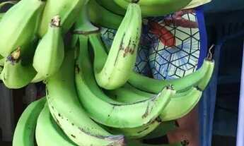 Imagem: CACHO DE BANANA