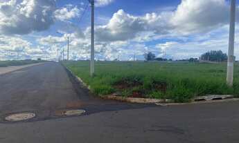 Imagem 5: Lote em Trindade