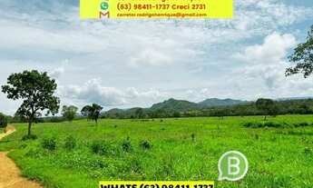 Imagem: Fazenda região central dupla aptidão plana