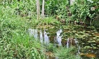 Imagem 1: Lote com riacho Timon/Caxias