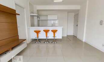 Imagem 5: Apartamento para Aluguel - Chácara Santo Antonio, 1 Quarto, 50 m2