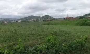 Imagem 2: Terrenos na saída pra Alagoinha em Alagoa grande. 4 lotes colados