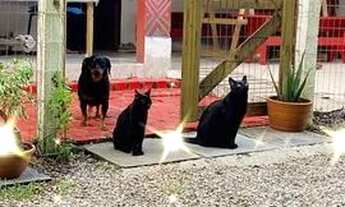 Imagem 3: Quartos Quarto com aluguel por R$1.200 /mês