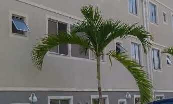 Imagem 3: Excelente Apartamento Em Lauro de Freitas com 2/4 Terreo