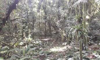 Imagem 5: Terreno na Estrada da Graciosa em Cond. Fechado