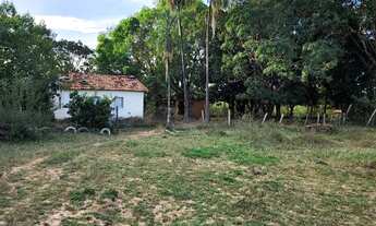 Imagem 4: Fazenda a 09 km do centro de Unaí