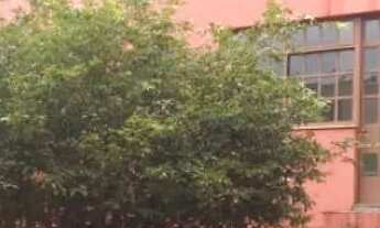 Imagem 2: Casa com 4 dormitórios à venda em Belo Horizonte