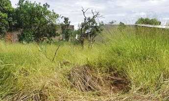 Imagem 2: Vendo lote em Brasilinha GO - Facilito