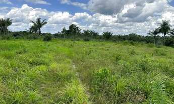 Imagem 5: Fazendinha com 45 hectares