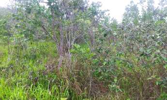 Imagem 3: Terreno Terreno / lote com venda por R$90.000