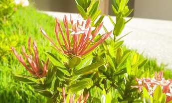 Imagem 6: Casa à venda Jardins Porto ( Ágio