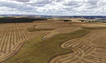 Imagem 3: Fazenda de 250 Alqueries