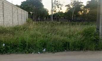 Imagem 3: Excelente terreno para vender bairro Sim