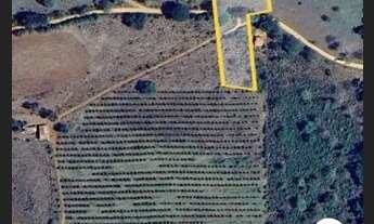 Imagem: Sítio maravilhoso na beira do ribeirão