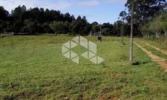 Imagem 2: Terreno Urbano à venda Estrada da Capororoca Viamão RS