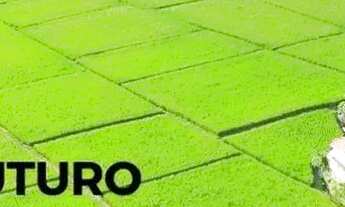 Imagem 3: Viva com Segurança e Qualidade de Vida no Bosque da Serra