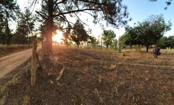 Imagem 3: CHÁCARA EM COCALZINHO GOIÁS|LAZER|NATUREZA|INVESTIMENTO