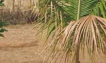 Imagem 5: Vendo lindo Sítio