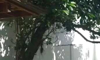 Imagem 7: Casa à venda no Balneário em Florianópolis