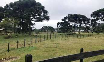 Imagem 3: Sitio - Bairro Serra Grande