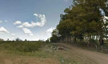 Imagem 5: Terreno à Venda em Arvorezinha, Bagé - R$ 55.000