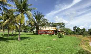 Imagem 3: Fazenda 32 alqueires (154,88 hectares) Iporá - Go