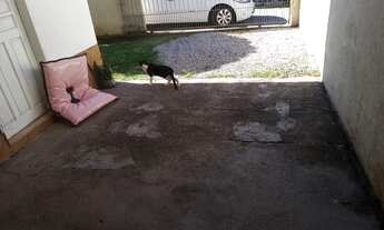 Imagem 10: Térrea para venda tem 116 metros quadrados com 2 quartos