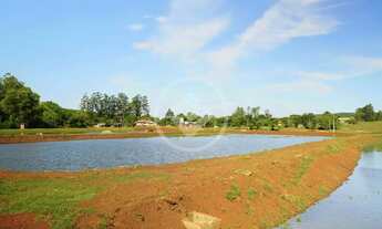 Imagem 10: Chácara Completa e Produtiva 7,2 Alqueires com 9 Açudes de Tilápias e Potencial para Lote