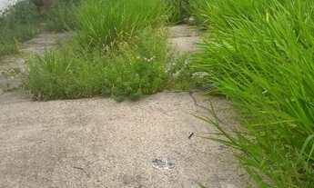 Imagem 2: Lote 8x20/ murado/px as torres