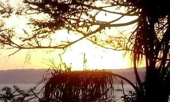 Imagem 7: Terreno de 15008m² no bairro Santo Antônio De Lisboa