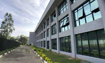 Imagem 6: GALPÃO - JARDIM REGINA ALICE - SP