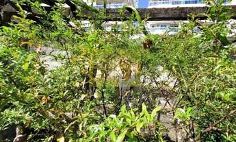 Imagem 10: Terreno à venda, Freguesia-Jacarepaguá, 890m²