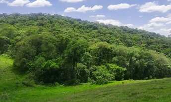 Imagem 3: Lote com vista para lago Terreno venda tem 500 metros quadrados em Lageadinho - Ibiúna - S