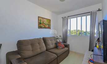 Imagem 5: Vendas Apartamento Curitiba PR