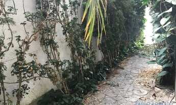 Imagem 7: CASA ASSOBRADADA - ALTO DE PINHEIROS - SP