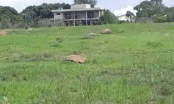 Imagem 2: Casa de condomínio em Quadra SMPW Quadra 8 - Park Way - Brasília/DF