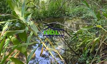 Imagem 6: Professor Jamil - Chácara 3,92 Hectares. Oportunidade