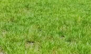 Imagem 7: AREA - JARDIM CENTENÁRIO - SP