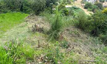 Imagem 2: Lote no pedra branca