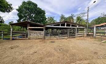 Imagem 5: Fazenda 48 Alqueires Cultura!