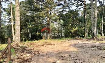 Imagem 5: Sítio em Estrada Geral da Carapina - Vale do Carapina - São Francisco de Paula/RS