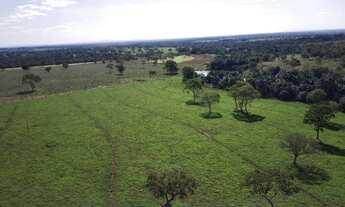 Imagem 5: Fazenda com 102 alqueires em Trombas-GO