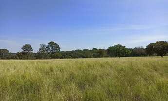 Imagem: Fazenda com 102 alqueires em Trombas-GO