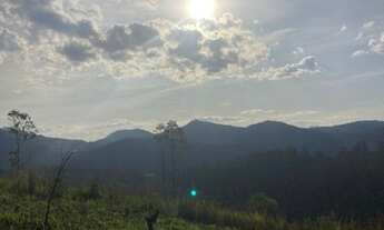 Imagem 4: Adquira Terreno / lote com venda por R$50.000