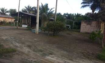 Imagem 5: Pequeno sítio na vila barauana