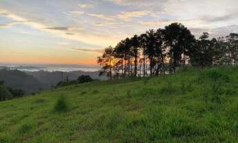 Imagem 3: Terrenos em Santa Isabel proximo do centro!